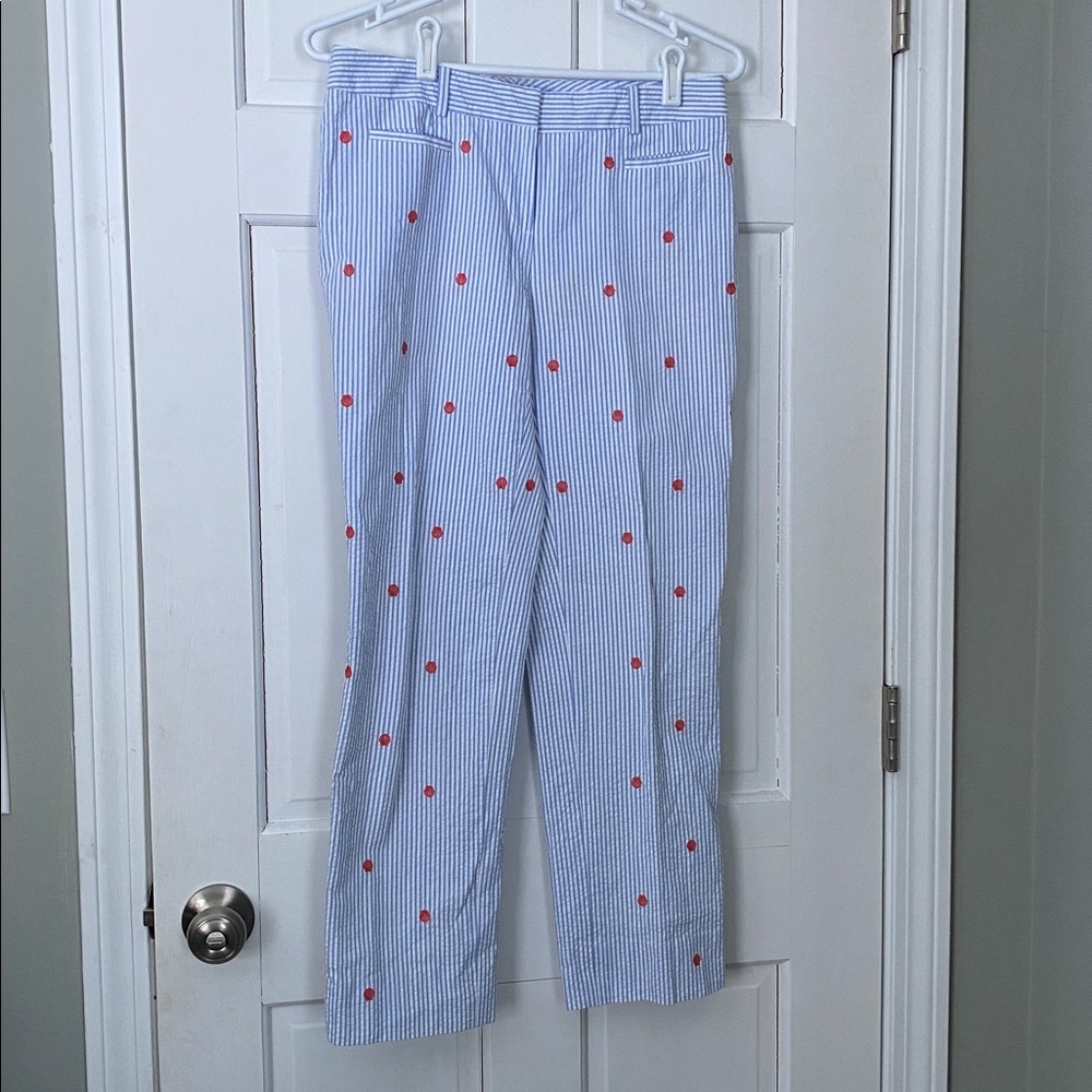 Brooks Blue and White Striped Garment